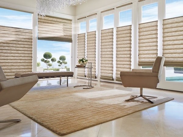 Hunter Douglas Dealer Image