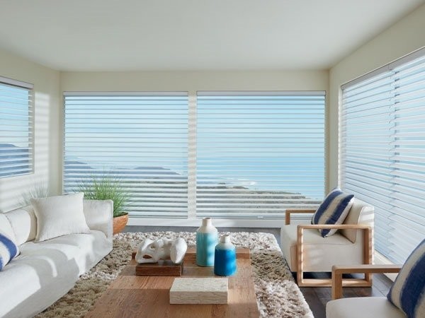 Hunter Douglas Dealer Image